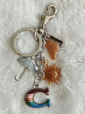 Rainbow 'C'  Logo Keychain with Silver Hardware Bling Bag Charmj